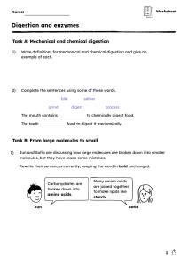 Digestion and Enzymes Worksheet | Mechanical & Chemical Digestion