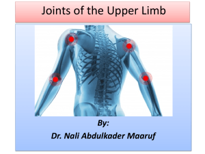 Upper Limb Joints: Shoulder & Elbow Anatomy Presentation by Dr. Maaruf