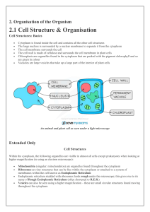 Cell Structure & Organisation: Basics & Extended