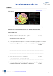Haemoglobin Protein Structure Questions | Biology Worksheet