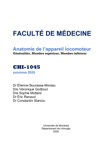 Anatomie de l'appareil locomoteur - Facult&eacute; de m&eacute;decine UdeM