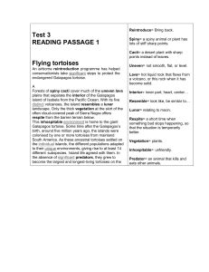 Galapagos Tortoise Conservation: Flying Tortoises Reading Passage