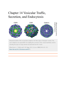 Vesicular Traffic, Secretion, & Endocytosis: Coat Protein Complexes