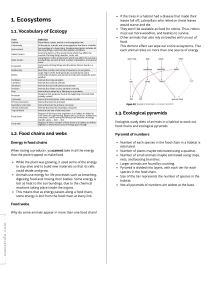 Ecosystems: Food Chains, Webs, and Ecological Pyramids