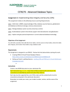 Oracle Database Security Assignment