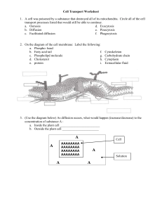 Cell Transport Worksheet: Diffusion, Osmosis & Membrane Structure