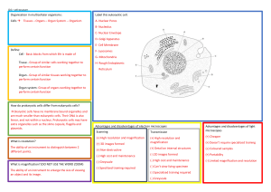 Cell Structure & Function: Eukaryotic, Prokaryotic Cells & Microscopy