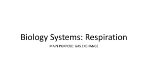 Respiration: Biology of Gas Exchange in Humans