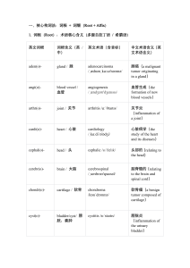 Medical Terminology: Root Words, Prefixes, Suffixes
