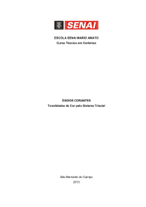 Cor em Esmalte Cer&acirc;mico: Pesquisa do Sistema Triaxial de &Oacute;xidos
