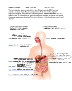 Human Digestive System: GI Tract Organs, Functions & Digestion Explained