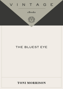 The Bluest Eye: Toni Morrison - Novel Excerpt