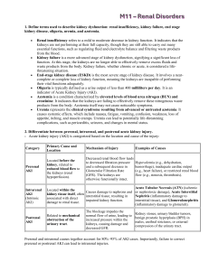 Renal Disorders: AKI & CKD Study Guide