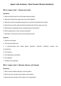 Upper Limb Anatomy Review Questions: Bones, Muscles, Nerves