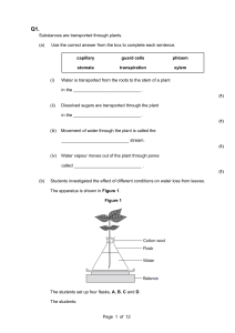 Plant Transport & Water Loss: Xylem, Phloem, Transpiration Questions