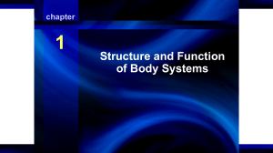 Structure and Function of Body Systems - Chapter 1