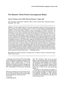 Hamster Cheek Pouch Carcinogenesis Model: Oral Cancer Research