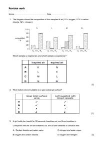Human Respiratory & Circulatory Systems Biology Revision Worksheet