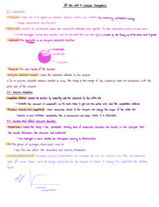 Cellular Energetics Notes: Enzymes, Photosynthesis, Respiration