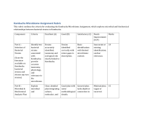 Kombucha Microbiome Assignment Rubric: Microbial & Biochemical Analysis