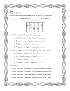 Chargaff's Rule DNA Practice Worksheet - Biology & Genetics