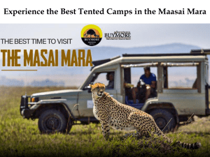 Experience the Best Tented Camps in the Maasai Mara