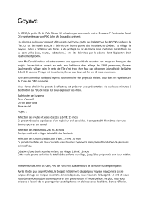 Goyave : &Eacute;tude de Cas Gestion Projets Humanitaires & Simulation ONG