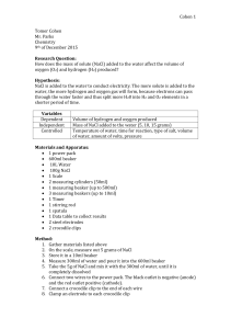 NaCl Mass Effect on Water Electrolysis: O2 & H2 Production Lab Report