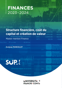 Finance : Structure, Co&ucirc;t du Capital, Cr&eacute;ation de Valeur