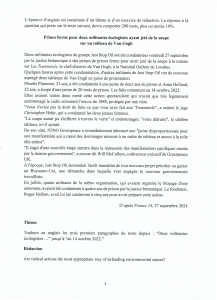 English Writing Exercise: Van Gogh Soup Protest & Activism