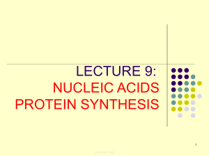 Nucleic Acids & Protein Synthesis: DNA, RNA, Replication Lecture