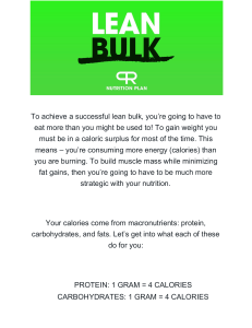Lean Bulk Nutrition Guide: Macronutrients & Body Types
