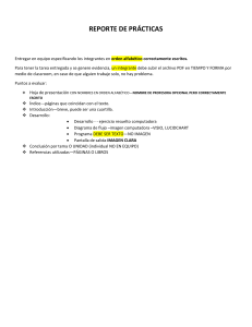 Gu&iacute;a para Informe de Pr&aacute;cticas