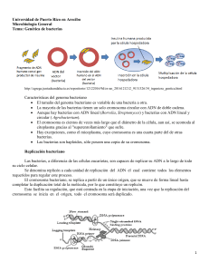 Gen&eacute;tica de Bacterias - Microbiolog&iacute;a General