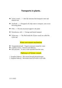 Plant Transport Systems: Xylem, Phloem, and Water Movement Mechanisms