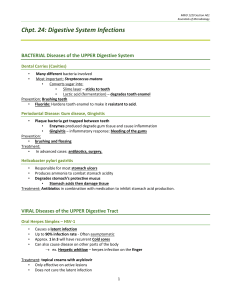 Digestive System Infections: Microbiology Lecture Notes