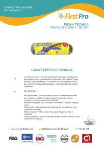 FT VIRUTA-DE-ACERO-X-100-GR