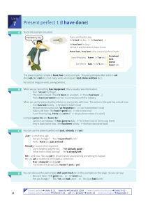 Present Perfect Grammar: Usage & Examples