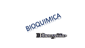 ciclo de Krebs- reacciones cata y anapleroticas (1)