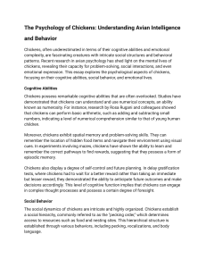 The Psychology of Chickens: Avian Intelligence & Behavior Explained