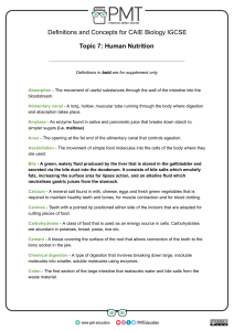 Human Nutrition Definitions for CAIE Biology IGCSE