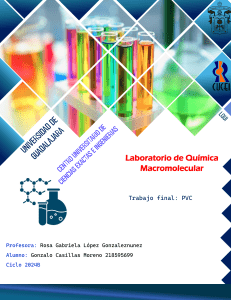Proyecto Final PVC: Informe de Laboratorio de Qu&iacute;mica Macromolecular