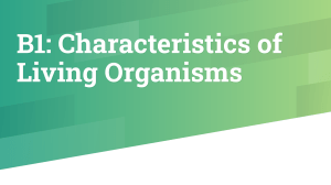 B1: Characteristics of Living Organisms - IGCSE Biology Presentation