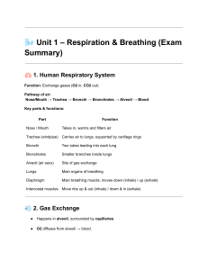 Respiration & Breathing Exam Summary: Key Concepts