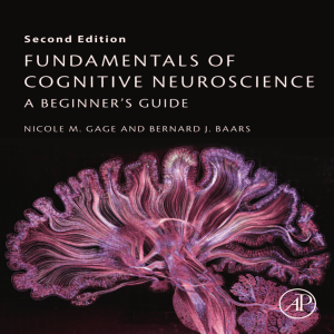 Cognitive Neuroscience Fundamentals: A Beginner's Guide