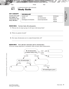 Chromosomes & Meiosis Study Guide: High School Biology