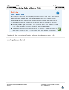 Nature Walk Activity Worksheet | BC Science Connections 9