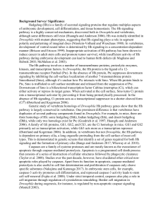 Hedgehog Signaling, Caspases, and Smo Trafficking: A Research Proposal