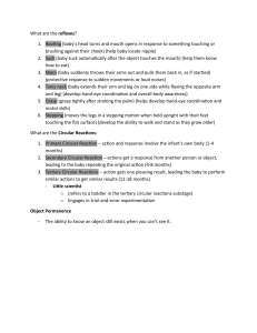 Infant Reflexes, Circular Reactions & Object Permanence | Child Development