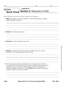 DNA Replication Quick Check Worksheet